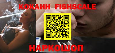 дмт Кингисепп
