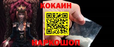 дмт Кингисепп