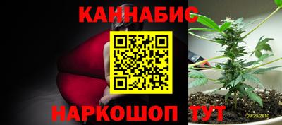 прущие грибы Коммунар