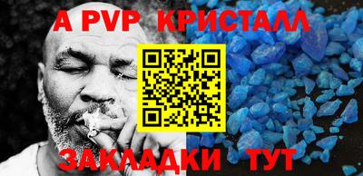 дмт Кингисепп