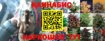 прущие грибы Коммунар