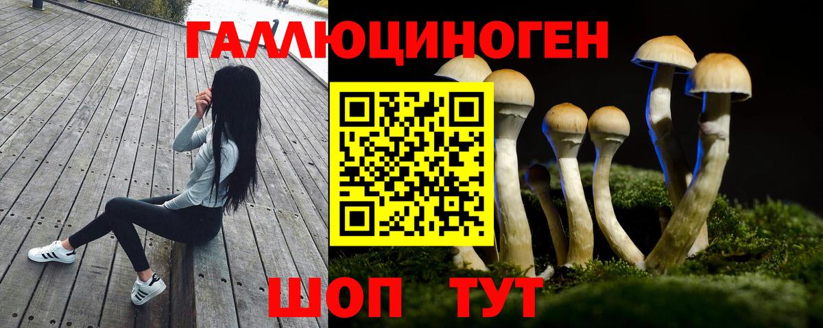Галлюциногенные грибы прущие грибы Кирово-Чепецк