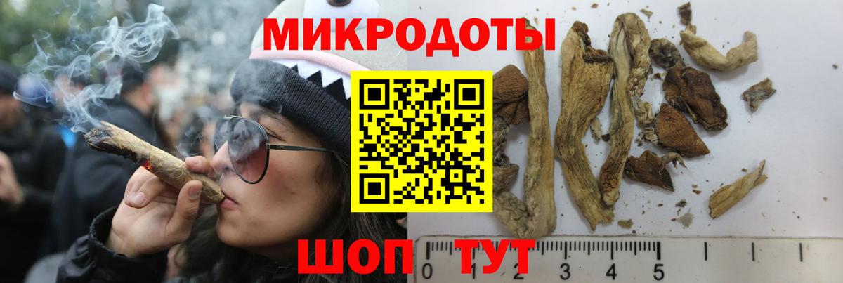 Галлюциногенные грибы мицелий  Галлюциногенные грибы мухоморы  Вход с VPN  Кирово-Чепецк 